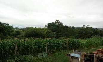 Imagem 7: Chacara em ibaiti