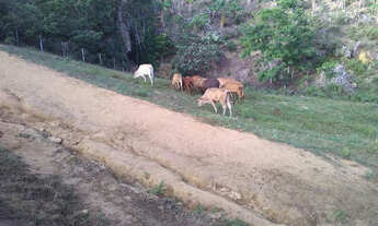 Imagem 2: Vendo excelente fazenda Presidente tranquedo Neves
