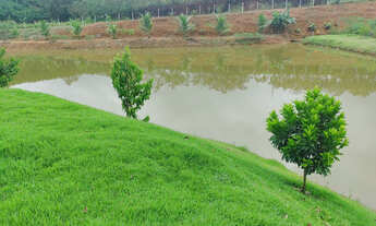 Imagem 4: Sítio em Timbuí