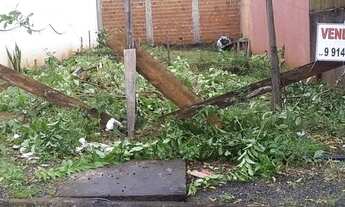 Imagem: Lote Jardim São Pedro_Marialva PR