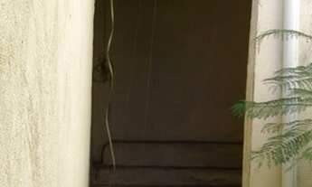 Imagem 6: CASA ASSOBRADADA - FREGUESIA DO Ó - SP