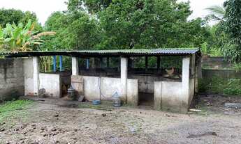 Imagem 3: Vendo ou troco Chácara na beira da BR-235 em Areia Branca/SE, medindo 4 tarefas, com baia