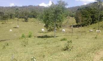 Imagem 4: 54 alqueires em Minaçu Goiás