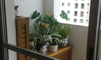 Imagem 5: APARTAMENTO - MOEMA PÁSSAROS - SP