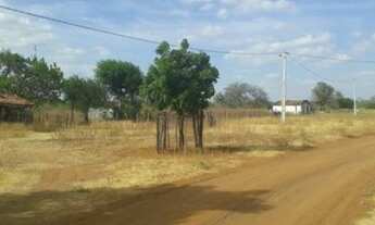 Imagem 3: Ótima Fazenda com 380 hectares na chapada de Apodi-RN