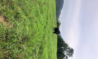 Imagem 4: Lindo Sítio no Morro grande