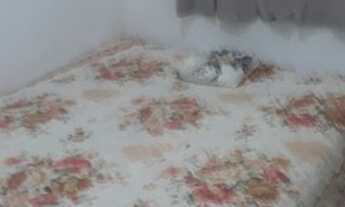 Imagem 3: Otimo apartamento mobiliado bem pertinho da praia