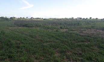 Imagem 2: Otima Fazenda com 25 hectares na região de boa saúde