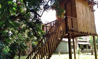 Imagem 6: Fazenda/Sítio/Chácara para venda tem 717 metros quadrados com 5 quartos