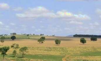 Imagem 7: Chácara 11 alqueires (53 hectares) em Palmeiras de Goiás-GO (lavoura + leite