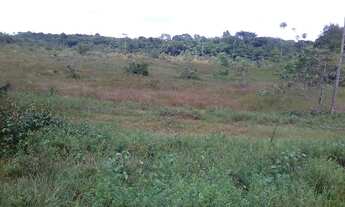 Imagem 3: Vendo terreno em Ananindeua !