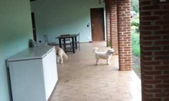 Imagem 7: Chacara em Londrina 2,400 m² 6km do aeroporto