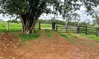 Imagem 3: Chácara 5 Alqueires em Jaraguá Goiás