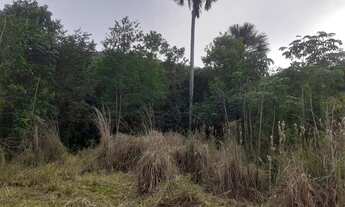 Imagem 7: Fazenda em Minaçu 23 alqueires