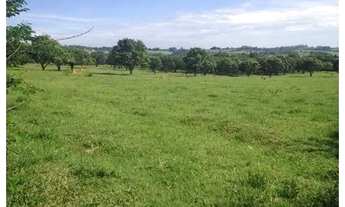 Imagem 5: Sítio em Tatuí, Sítio Dos Miranda