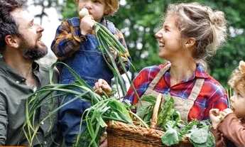 Imagem 3: Grande oportunidade. Terrenos cercados e com porteira em Zona Rural - Cordisburgo - MG