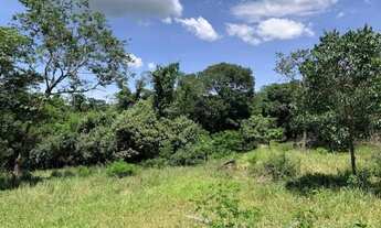 Imagem 4: Chácara 4000m², Frente GO-040, Terra de Cultura, Pés de Frutas, Cercada, 70km Goiânia