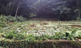 Imagem: MORE EM UMA RESERVA FLORESTAL! COM CONFORTO
