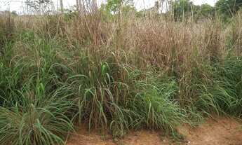 Imagem 6: Regiao Jequitai!!! Sitio 23 Hectares /70% Pastagem/Agua De Rio/60% Cultura!!!