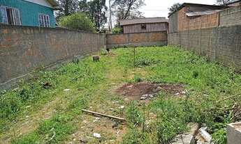 Imagem 7: Terreno todo Murado e plano