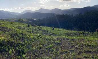 Imagem: Lote/Terreno para venda possui 1500 metros