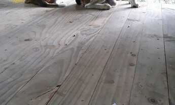 Imagem 6: Excelente imóvel