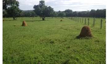 Imagem 6: Sítio em Tatuí, Sítio Dos Miranda