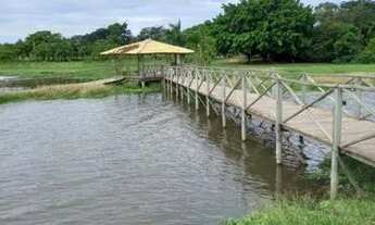 Imagem: Terreno cond. Terra da barra