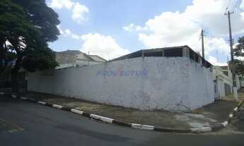 Imagem 7: Barracão - Parque São Quirino - Campinas