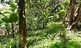 Imagem 5: Vendo terreno grande com galpão