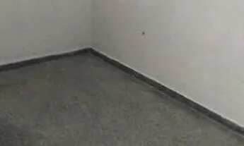 Imagem 7: CASA PARA LOCAÇÃO EM PINHAIS