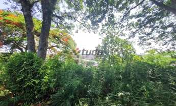 Imagem 4: Novo Hamburgo - Casa Padrão - Primavera