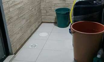 Imagem 5: Vendo excelente ágio na samambaia norte