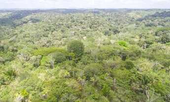Imagem 2: Invista na natureza e tenha seu próprio paraíso, terreno de 8 hectares em Itacaré
