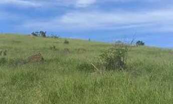 Imagem 4: 48P-JPRI20 Terreno / lote com venda por R$250.000