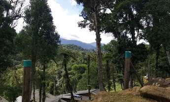 Imagem 5: Chácara São José dos pinhais