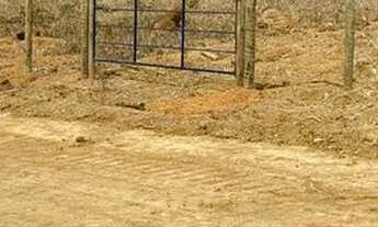 Imagem 5: Grande oportunidade. Terrenos cercados e com porteira em Zona Rural - Cordisburgo - MG