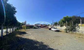 Imagem 2: Barracão para aluguel, 40 vagas, Jardim Nova Itália - Limeira/SP