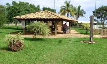 Imagem 5: Terreno cond. terra da barra