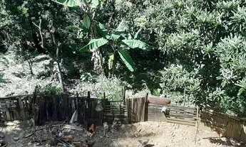 Imagem 3: Vendo terreno grande com galpão