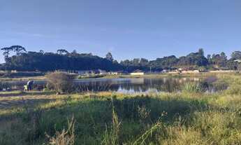 Imagem 5: Vendo terreno medindo 480 metros 12/40 de frente pra rua