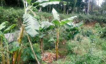 Imagem 5: 3 mil mts com fibra otica instalada