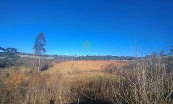 Imagem 7: Terreno à venda, 29.040 m2, SAO JOSE DOS PINHAIS - PR