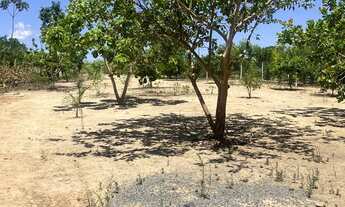 Imagem 3: Urgentemente- Chácara de 5000mts em Hidrolândia 45km do Garavelo