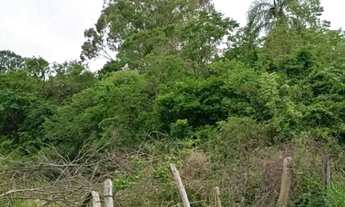 Imagem 3: Sítio em Nova Santa Rita