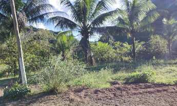 Imagem 2: Sítio 16 alqueires com 05 tanques