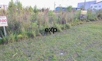 Imagem 3: Lote Industrial c/ 3.706,21 m² na Fazenda Rio Grande, próximo à BR-116