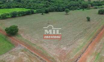 Imagem 7: Chacara 2 alqueires (9,68 hectares) Santa Helena de Goias - GO