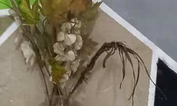 Imagem: Quarto com banheiro