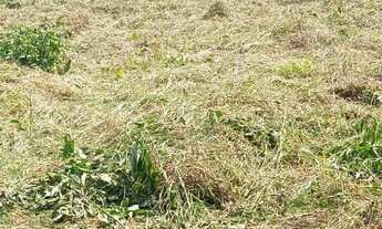 Imagem 5: Terreno mairinque